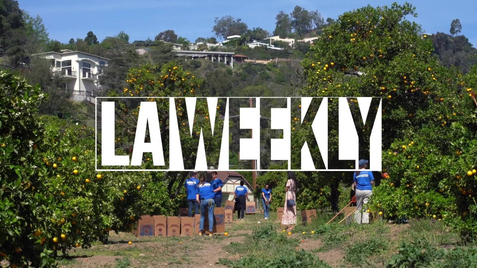 LA Weekly The Hidden Franklin Canyon Orange Grove Moves Food Forward